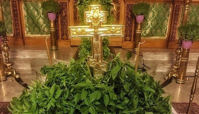The Participation of Christians in the Cross of Christ