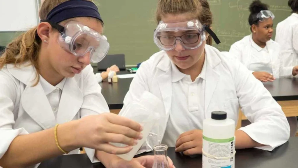 Student Achievement On NY State Exams Ranks A. Fantis Near the Top of 1,300+ NYC Schools ‍