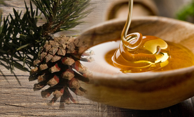 Δραματική μείωση της παραγωγής πευκόμελου στην Κρήτη