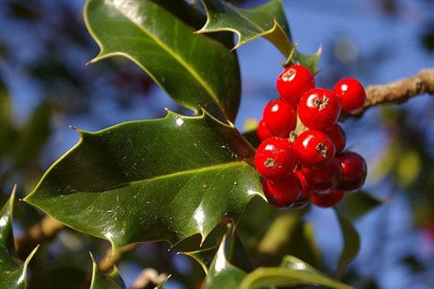 Ιερά Αγρυπνία για την εορτή της Πρωτοχρονιάς και του αγίου Βασιλείου του Μεγάλου στο Μετόχι Αναλήψεως Βύρωνα