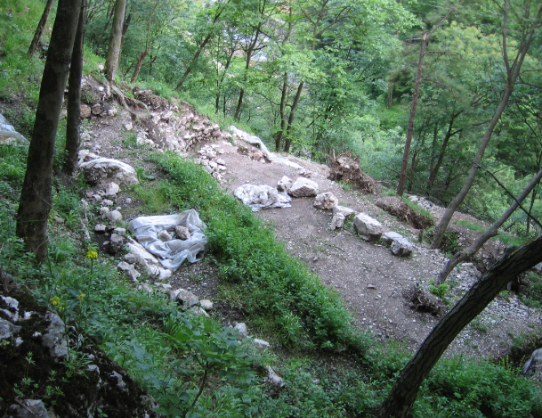 Историята на базиликата в крепостта „Вратица“