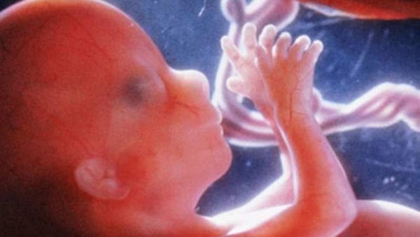 ΗΠΑ: Οι Ρεπουμπλικάνοι ενέκριναν δυο κείμενα για την άμβλωση