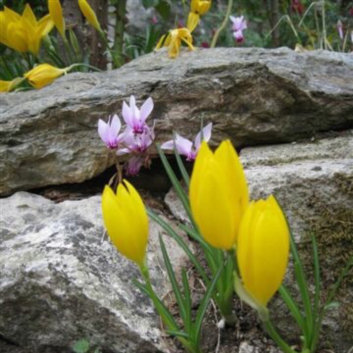 Το μήνυμα του Kισάμου και Σελίνου για την Μεγάλη Τεσσαρακοστή