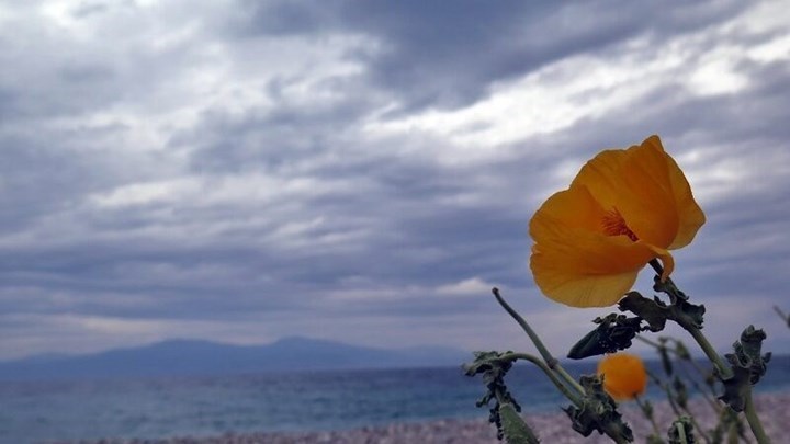 Βροχές και καταιγίδες αύριο με αυξημένες συγκεντρώσεις σκόνης