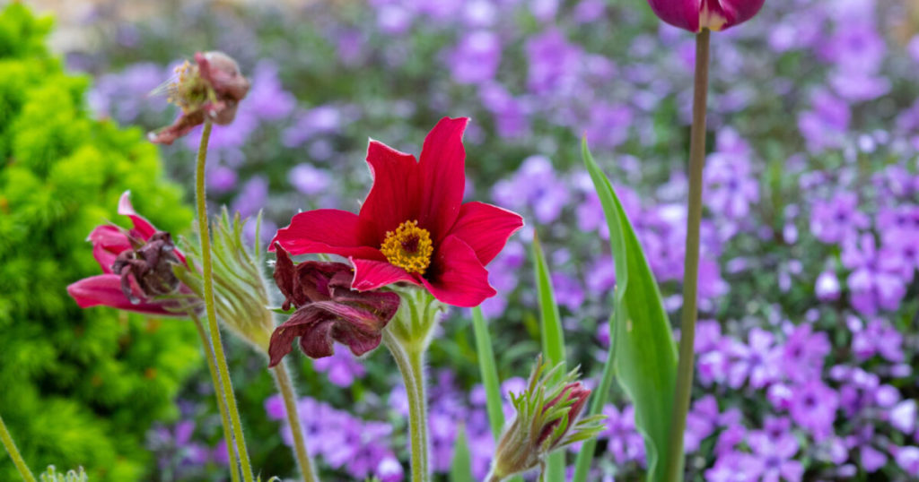 Καιρός: Ανεβαίνει η θερμοκρασία έως και 22 βαθμούς Κελσίου