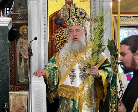 Ο Μητροπολίτης Κηφισίας στην Πεύκη την Κυριακή των Βαΐων