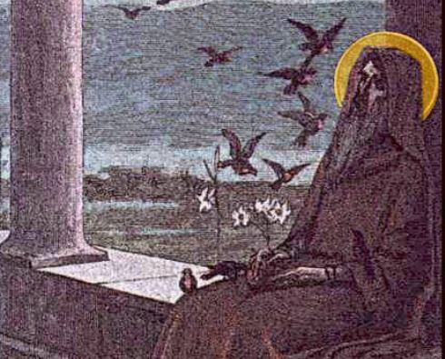 Hierodëshmor Vasili i Amasisë