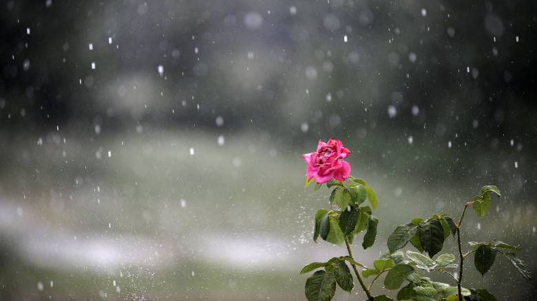 Καιρός : Σποραδικές βροχές και καταιγίδες την Πέμπτη