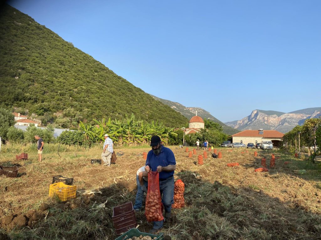 Συγκομιδή από τα κτήματα της Εκκλησίας