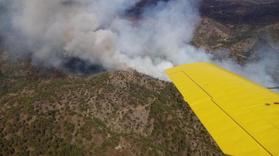 Λεμεσός: Ανεξέλεγκτη η φωτιά στον Άγιο Μάμα (ΦΩΤΟ/ΒΙΝΤΕΟ)