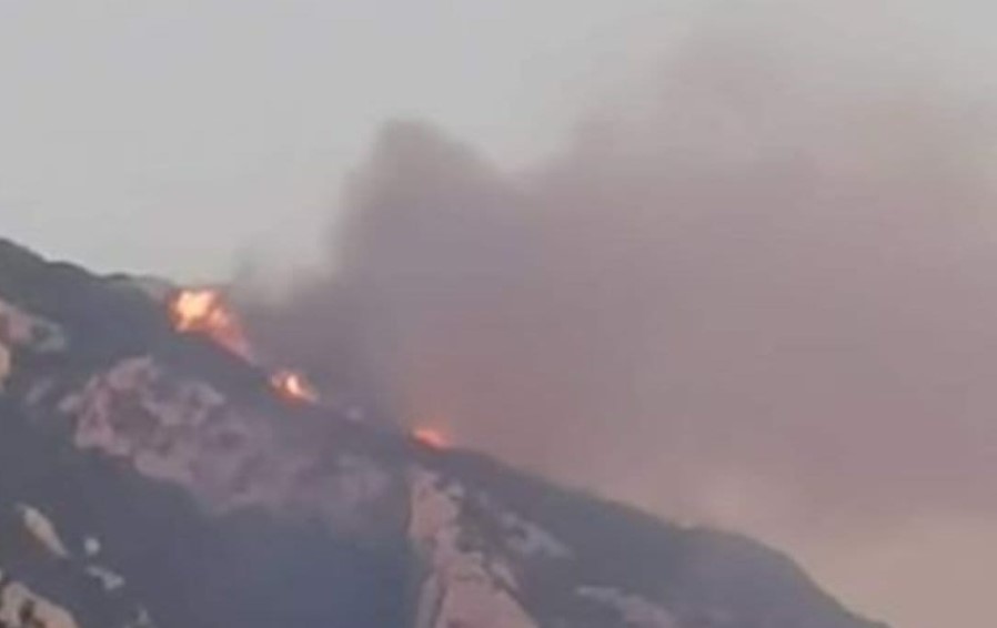 Φωτιά σε δασική έκταση στο Άγιον Όρος