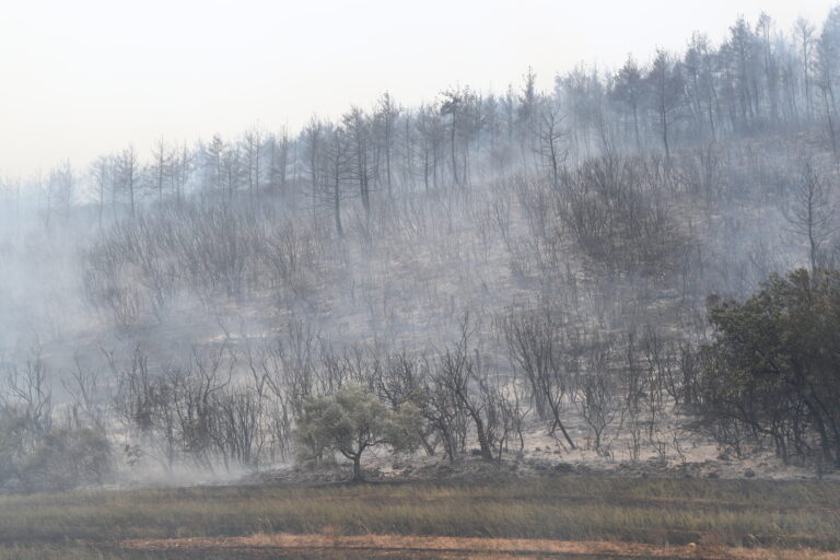 Συνεχίζεται η μάχη με τις φλόγες σε Έβρο και Ροδόπη – Κυβερνητικό κλιμάκιο στην περιοχή