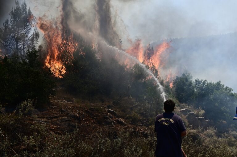 Μάχη με τις αναζωπυρώσεις σε Έβρο και Ροδόπη – 105 πυρκαγιές στην επικράτεια