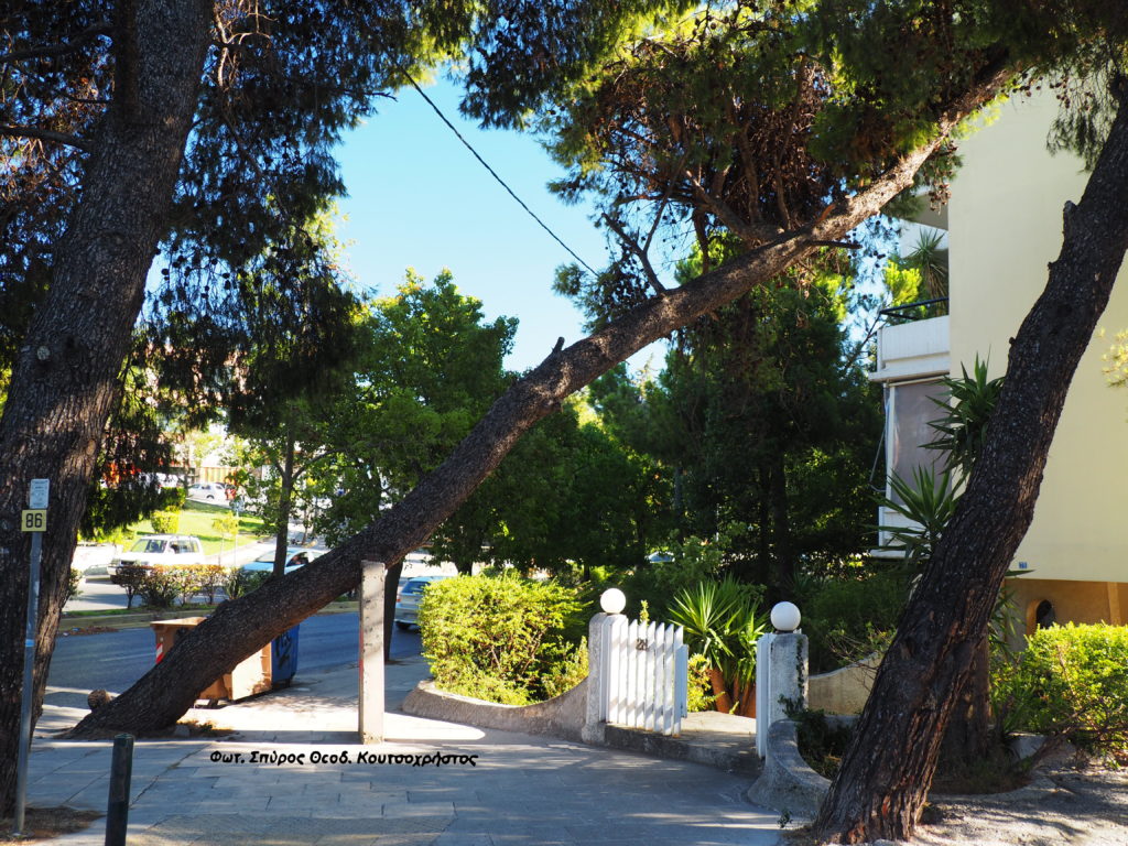 Δεν φταίει η κλιματική αλλαγή