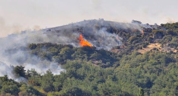 Πολύ υψηλός κίνδυνος πυρκαγιάς για αύριο σε 6 Περιφέρειες