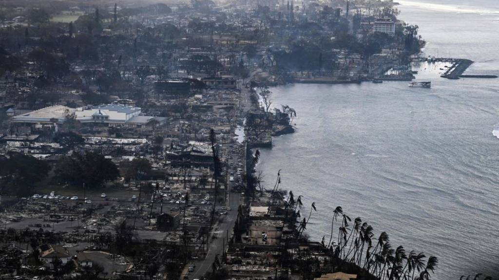 Χαβάη: Τουλάχιστον 80 οι νεκροί από τις πυρκαγιές