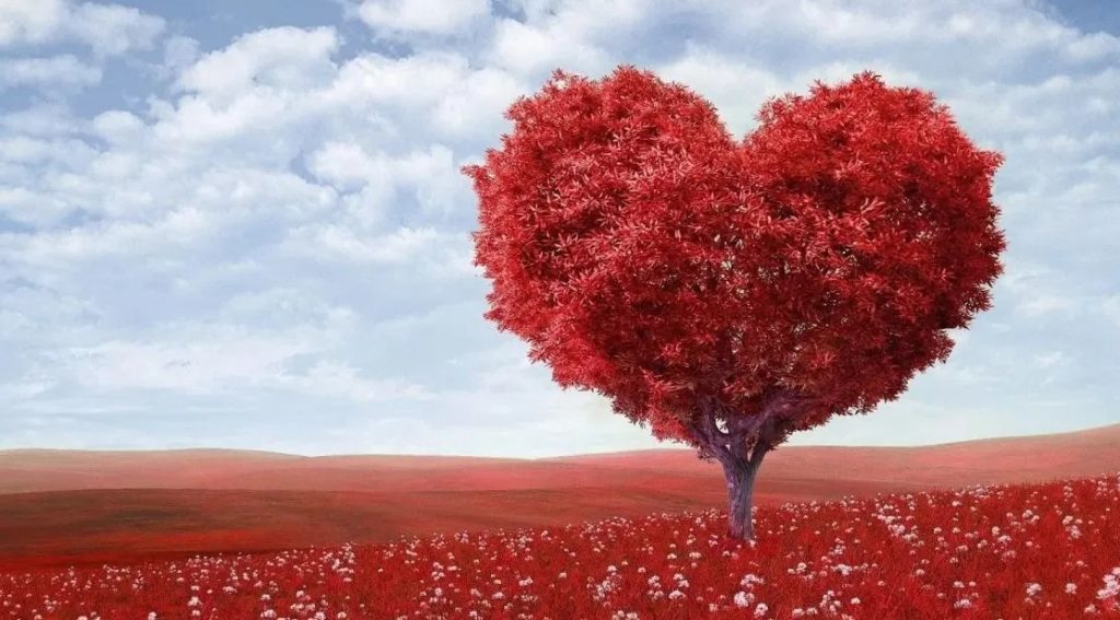 99η εθελοντική αιμοδοσία στον Άγιο Τρύφωνα Καματερού