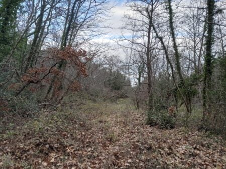 Κλιματική αλλαγή ή έσχατοι χρόνοι;