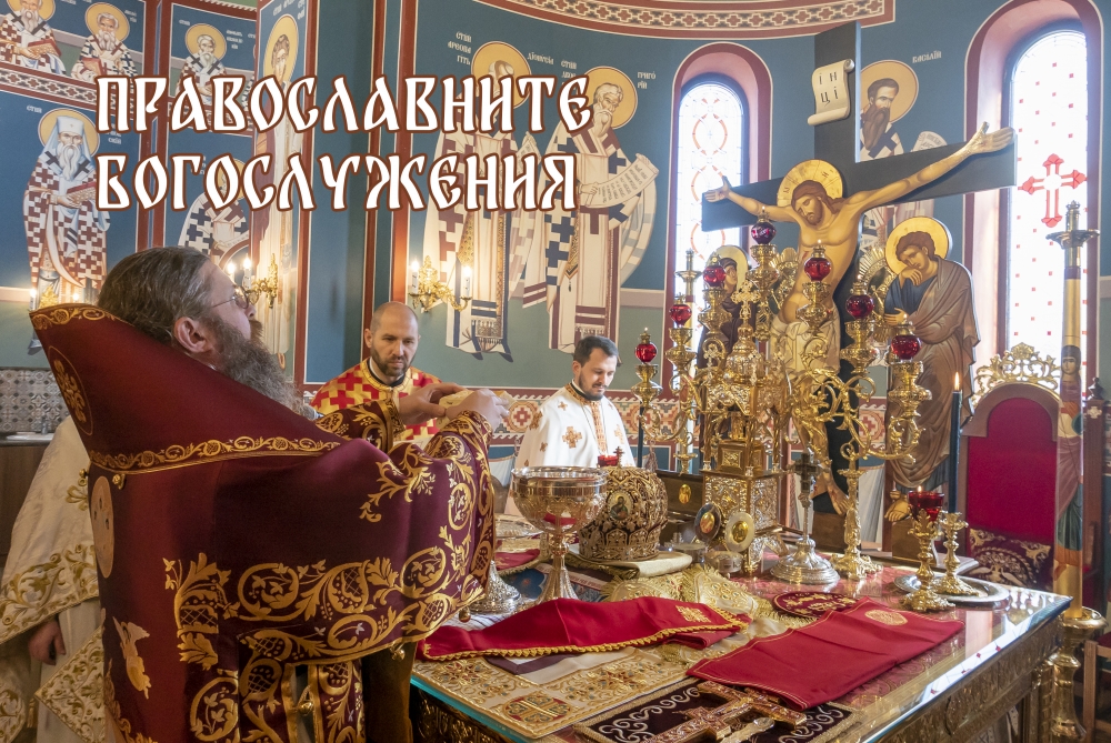 Беседа „От Рождество Христово към Богоявление – началото на Божествената литургия“