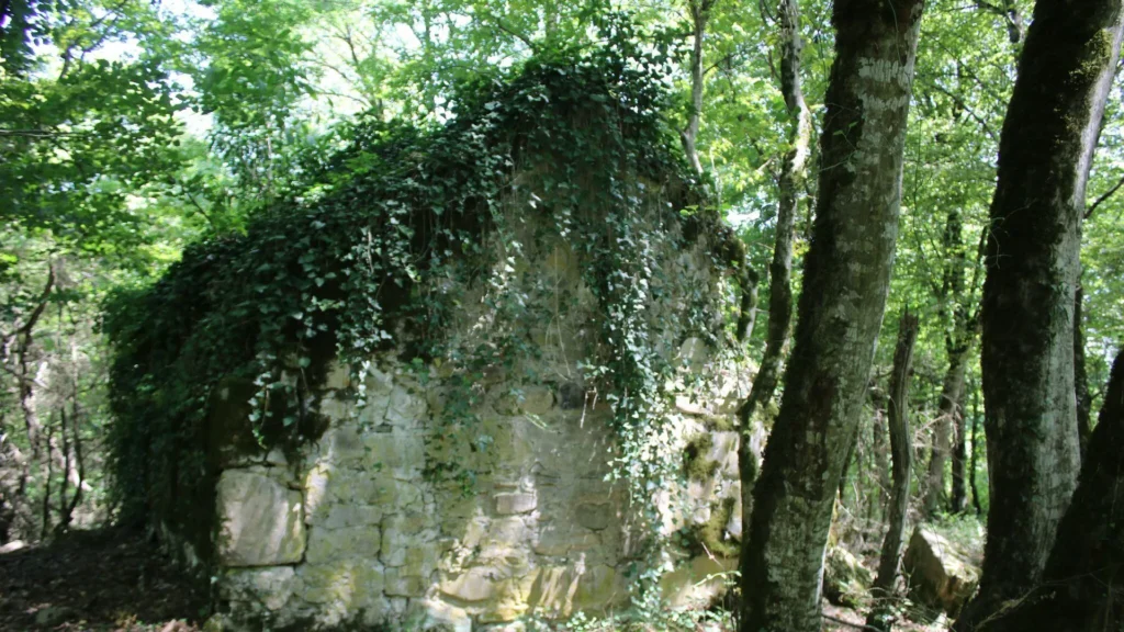 საეკლესიო კალენდარი: 22 თებერვალი
