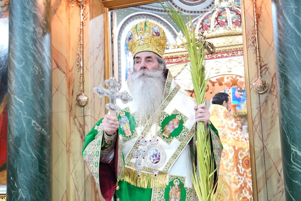 O Μητροπολίτης Πειραιώς για την θριαμβευτική είσοδο του Χριστού στα Ιεροσόλυμα