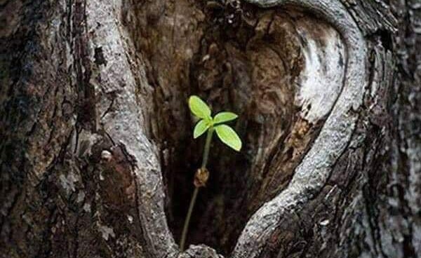 Μητρόπολη Κισάμου: Σταυροφορία αγάπης για τη μικρή Νεφέλη που χρειάζεται τη βοήθειά μας