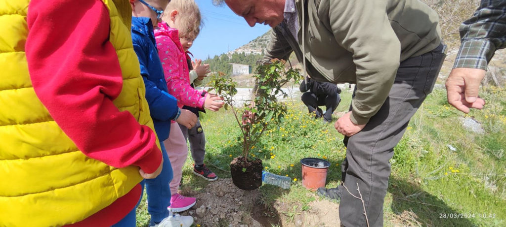 Δεντροφύτευση Βρεφονηπιακών Σταθμών και Νηπιαγωγείου Μητροπόλεως Δημητριάδος