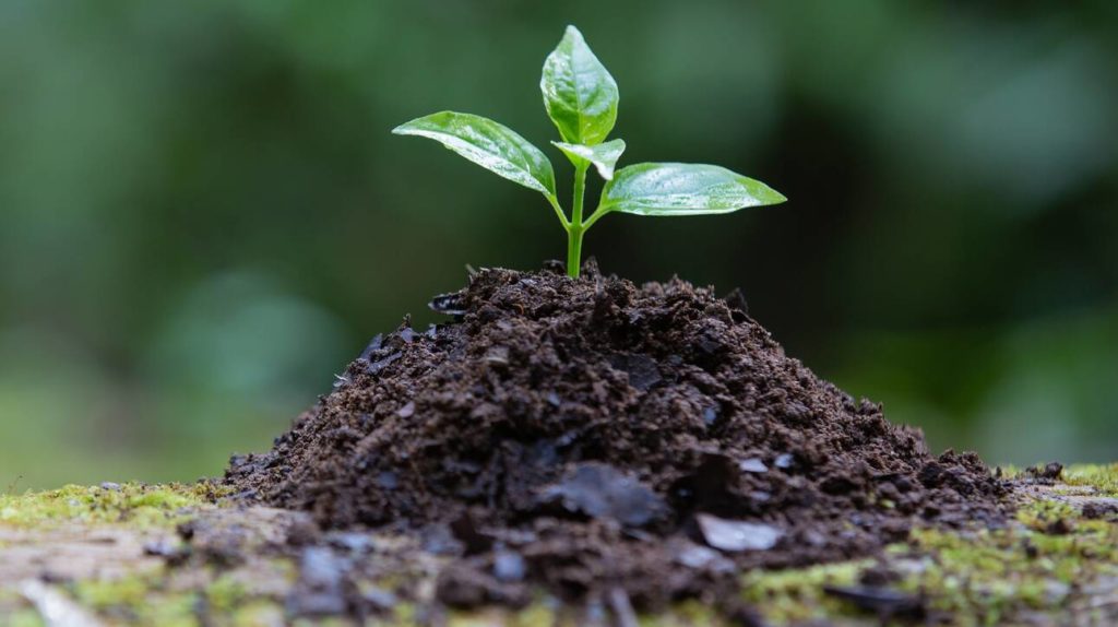 Η άνοδος της θερμοκρασίας αυξάνει τη βιοποικιλότητα, αλλά τη μειώνει κιόλας