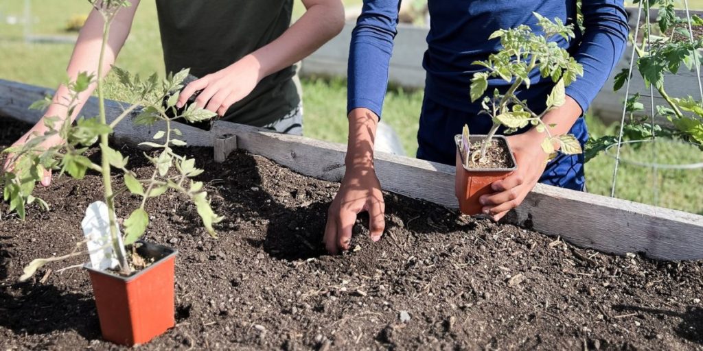 St. Andrew Greek Orthodox Church in South Bend, Indiana Continues Community Garden