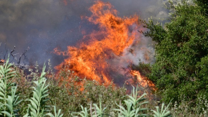 Πολύ υψηλός κίνδυνος πυρκαγιάς για αύριο Παρασκευή