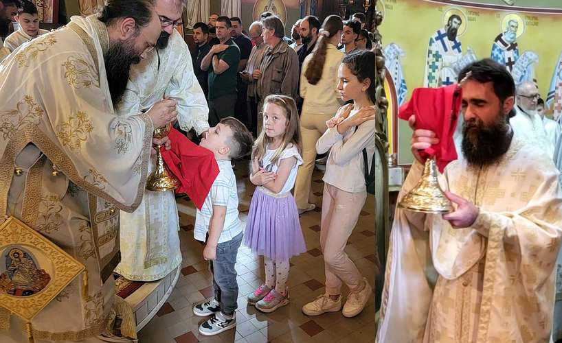 Владика Иларион: Не идите врачевима, гатарама и маговима! Вода жива је у Цркви Христовој!