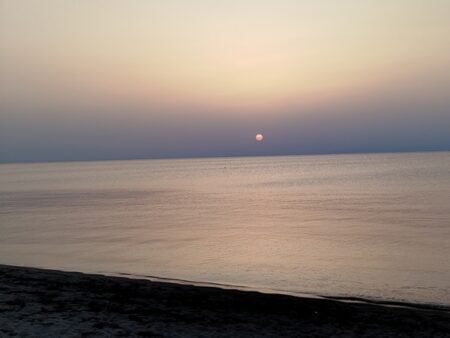 Woke κουλτούρα και απαγορευμένες λέξεις