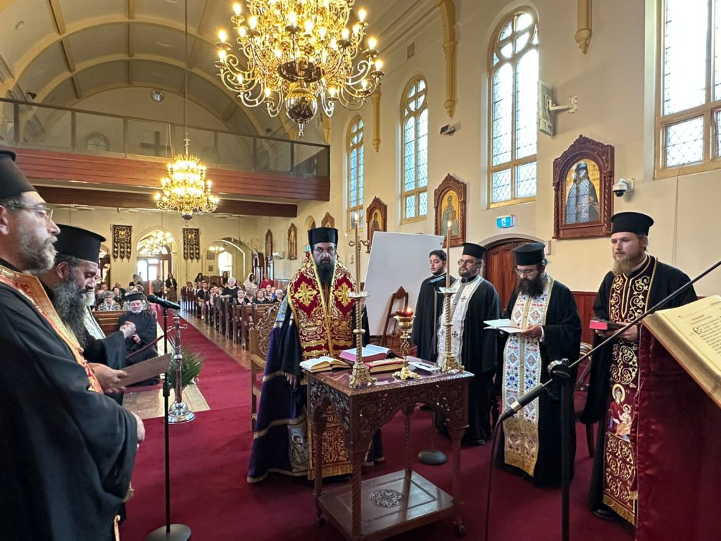 Launch of activities of the Pastoral Health Care Network in the Holy Diocese of Chora