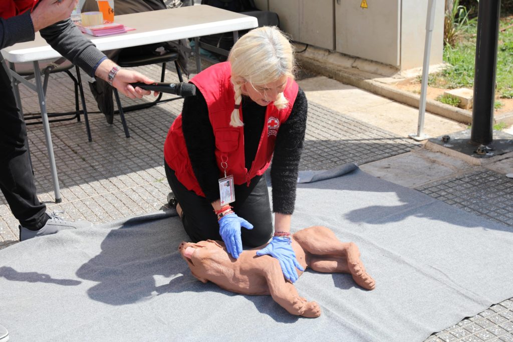 Ο Ελληνικός Ερυθρός Σταυρός τίμησε την Παγκόσμια Ημέρα Αδέσποτων Ζώων με μεγάλη δράση στον Πειραιά