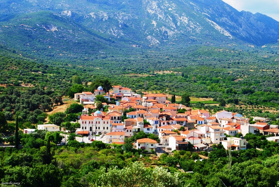 Πρόγραμμα Ακολουθιών επί τη μνήμη της διελεύσεως από τη Σάμο του Αγίου Μακαρίου Νοταρά, Αρχιεπισκόπου Κορίνθου