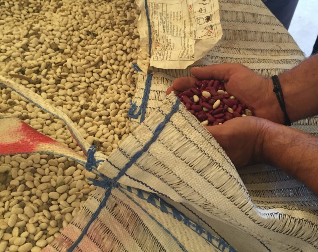 Πιλοτικό πρόγραμμα ενίσχυσης μικρών επιχειρήσεων μεταναστών από την «Αποστολή»