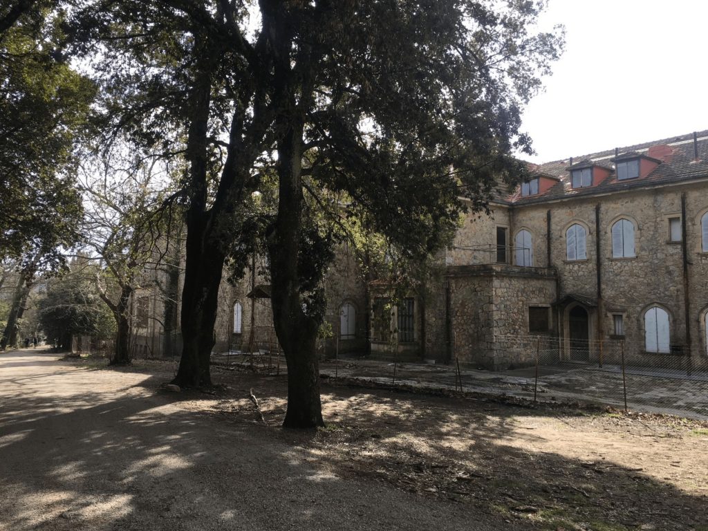 Σε εξέλιξη η ανασύνταξη του περιβάλλοντος χώρου και του δικτύου μονοπατιών στο Τατόι