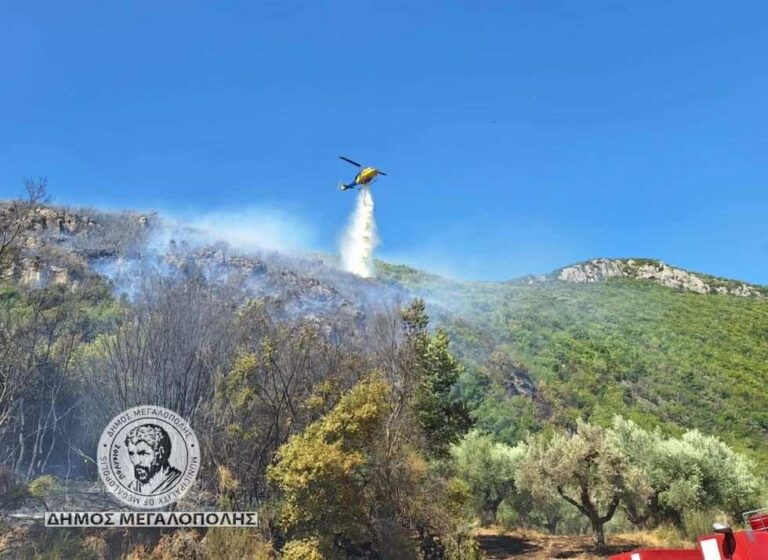Πυρκαγιά στην περιοχή της Ιεράς Μονής Μπούρα, κοντά στο Λεοντάρι Μεγαλόπολης