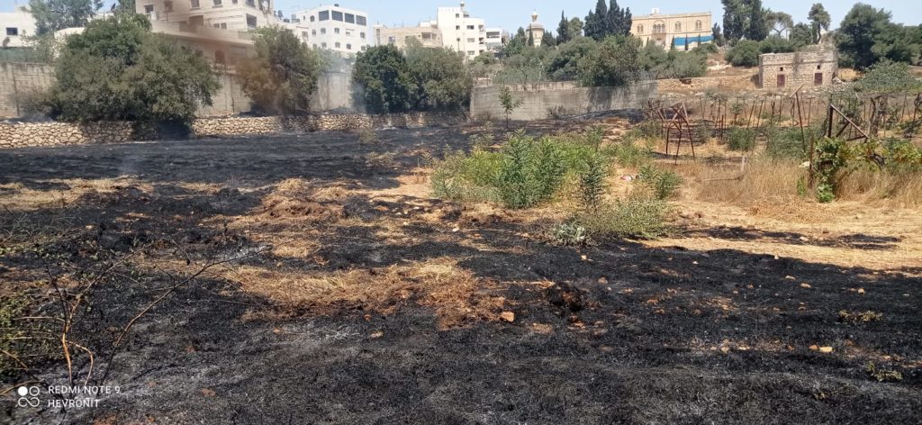 Εμπρησμός σε αγροτική έκταση της Ρωσικής Αποστολής στη Χεβρώνα