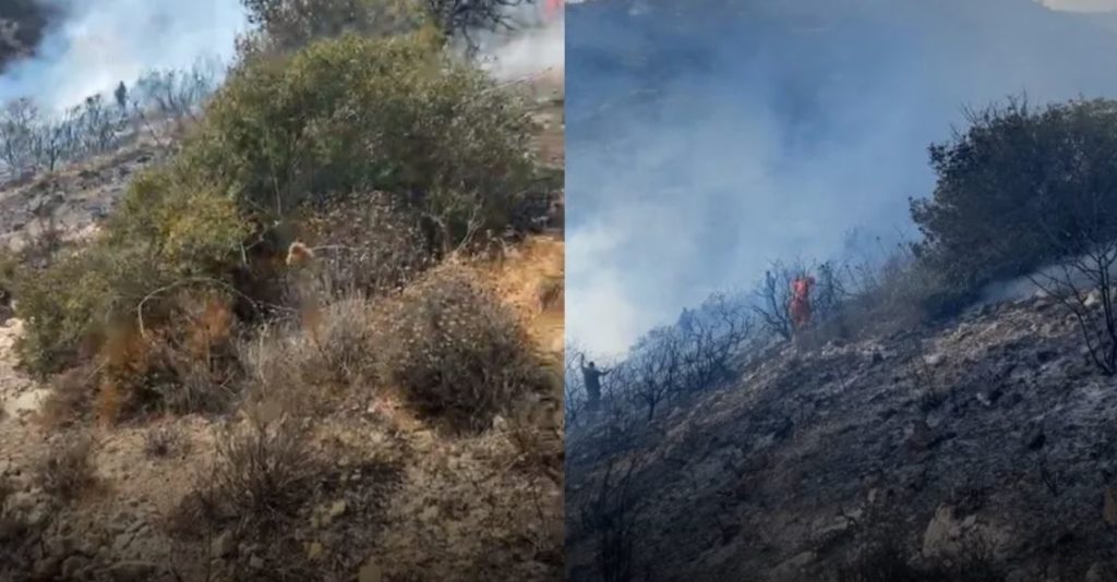 Τσάδα: Kινδύνευσαν σπίτια και εκκλησίες από την φωτιά