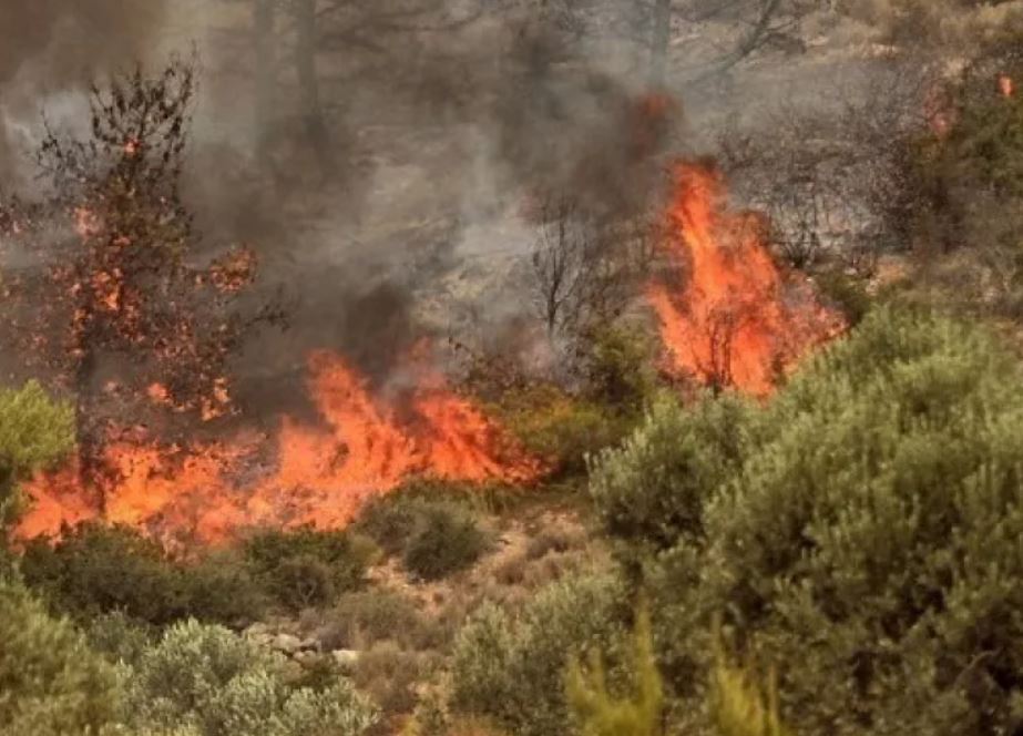 Δέηση για την κατάπαυση των πυρκαγιών – Συνεχίζουν οι πυροσβεστικές δυνάμεις να δίνουν μάχες με τις φωτιές