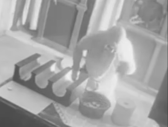 Άγνωστος εισέβαλε στη Μονή Αφέντη Χριστού Γιούχτα – Καρέ-καρέ η προσπάθεια του να διαρρήξει το παγκάρι