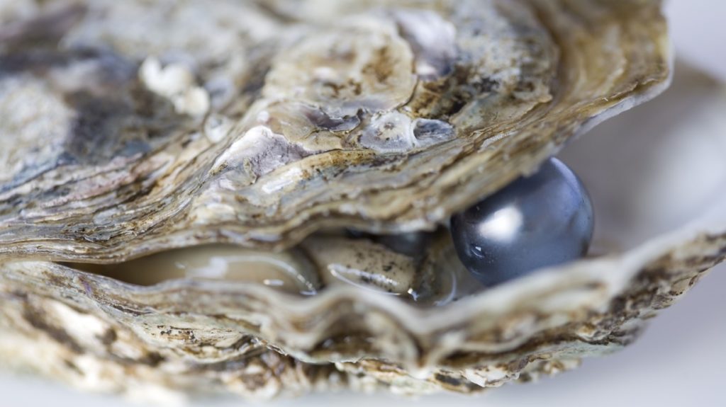 Το ένα μαργαριτάρι