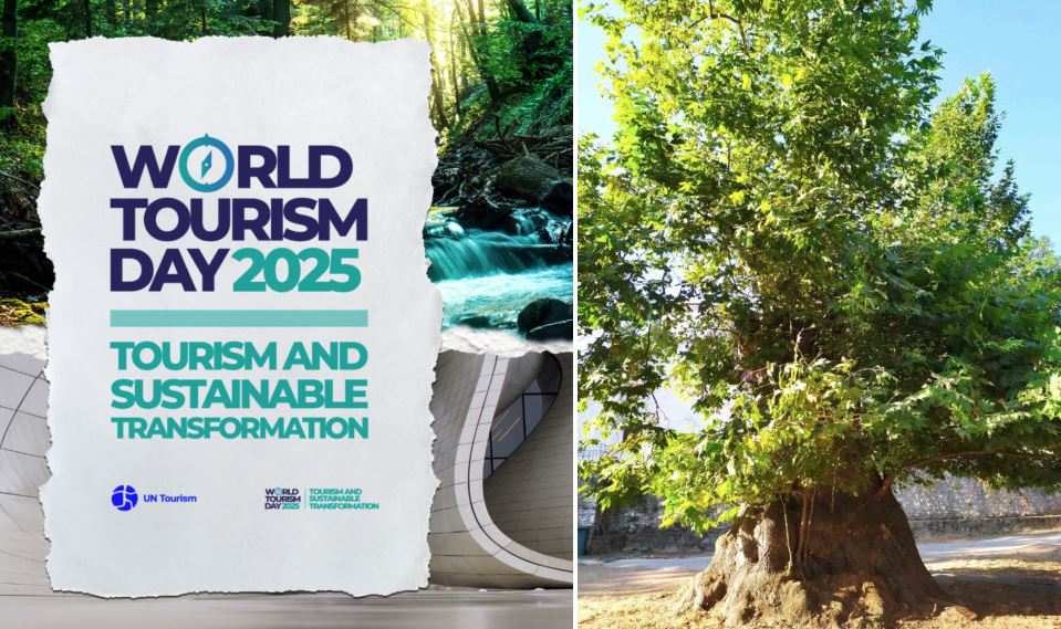 Ένταξη μνημειακού πλατάνου Αγ. Ιωάννη Αρκαδίας στο Δίκτυο Αιωνόβιων Δέντρων Ελληνικής Επανάστασης