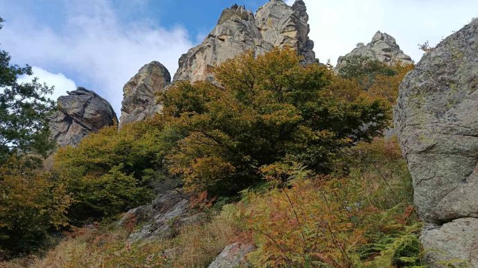 Θεία Ευχαριστία: Το μυστήριο της Καθολικότητας της Εκκλησίας