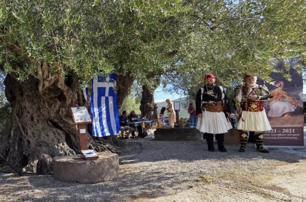 Εμβληματική τελετή ένταξης της Γηραιότερης Ελιάς της Πελοποννήσου στο Δίκτυο Αιωνόβιων Δέντρων Ελληνικής Επανάστασης