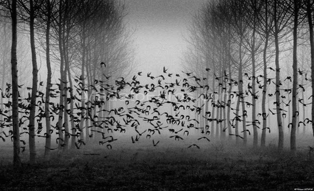 “Θα συντριβεί”