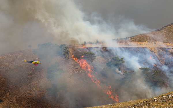 150.000 ευρώ η βοήθεια της Ιεράς Μητροπόλεως Χίου στους πυροπλήκτους