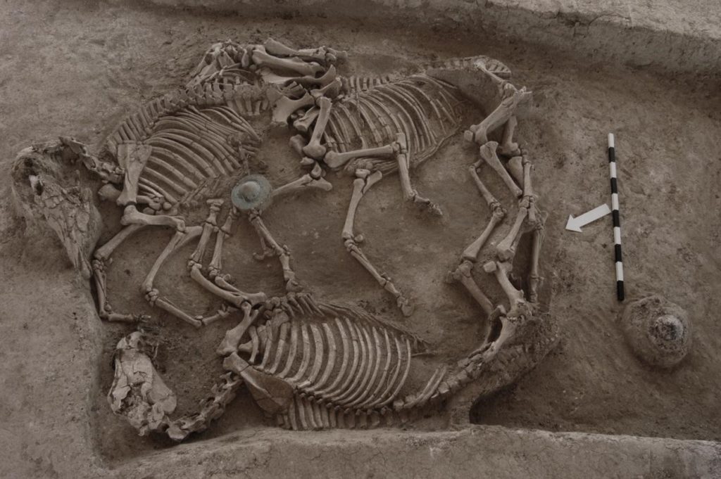 Οργανώνεται η μόνιμη έκθεση στον ταφικό τύμβο της Μικρής Δοξιπάρας-Ζώνης, στην Ορεστιάδα του Έβρου