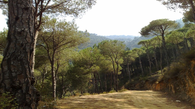 Όταν η καρδιά δεν έχη τον Χριστόν…